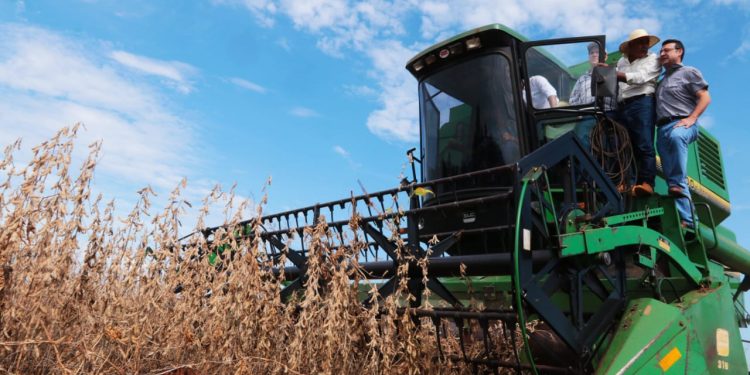 Fortalecimiento de la actividad económica: crecimiento del 3,8% en febrero