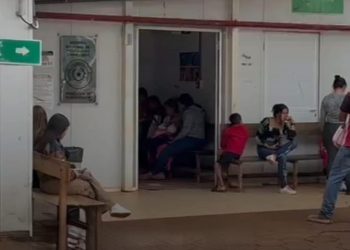 Fatal incidente: un bebé pierde la vida tras ser atacado por un gallo