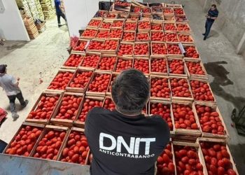 Decomisos por contrabando alcanzan cerca de USD 20 millones en el primer trimestre