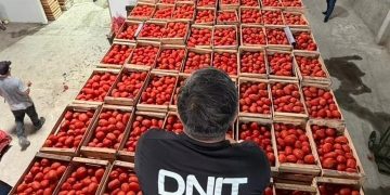 Decomisos por contrabando alcanzan cerca de USD 20 millones en el primer trimestre