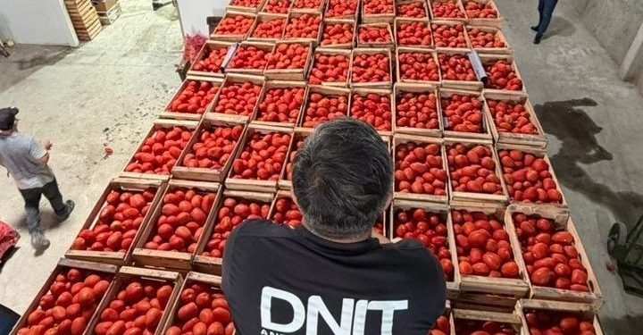 Decomisos por contrabando alcanzan cerca de USD 20 millones en el primer trimestre