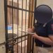 Remueven a jefa policial por irregularidades en caso Dalia López