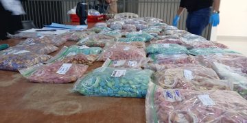 Destruyen más de 25 kilos de éxtasis incautados en Central