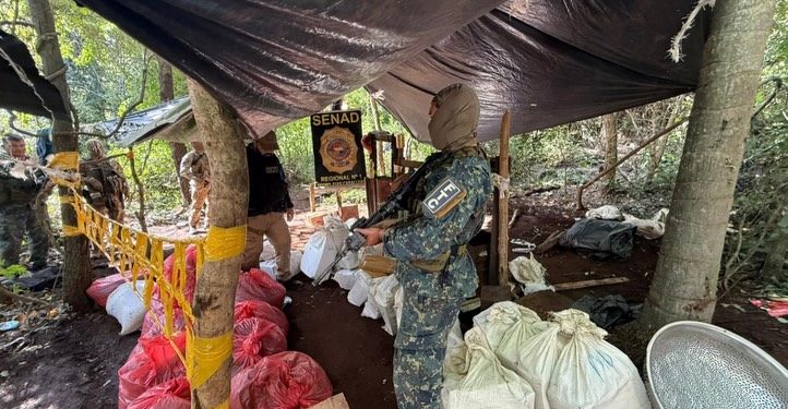 SENAD destruyó más de 7 toneladas de marihuana en Amambay