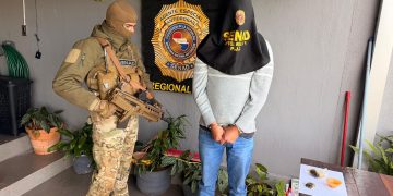 Capturan a financista brasileño y desmantelan laboratorios de producción de marihuana en PJC