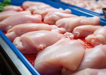 Emiratos Árabes Unidos habilita mercado para exportación paraguaya de carne aviar