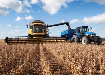Exportaciones de soja crecieron 37 % al cierre de abril impulsadas por una excelente campaña agrícola