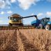 Exportaciones de soja crecieron 37 % al cierre de abril impulsadas por una excelente campaña agrícola