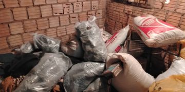Desmantelan centro de acopio de marihuana en Ypejhú y decomisan más de 800 kilos de droga