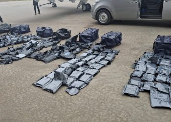 Detectan hachís en equipaje abandonado por pasajero de vuelo procedente de Panamá