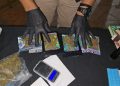 Detectan producción indoor de marihuana y detiene a un hombre en Asunción