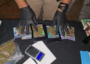 Detectan producción indoor de marihuana y detiene a un hombre en Asunción