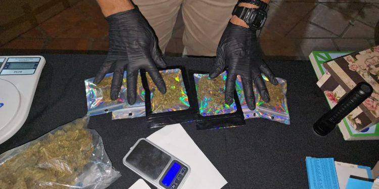 Detectan producción indoor de marihuana y detiene a un hombre en Asunción