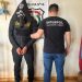 Detienen en Caaguazú a presunto implicado en el caso Dakovo por tráfico ilegal de armas