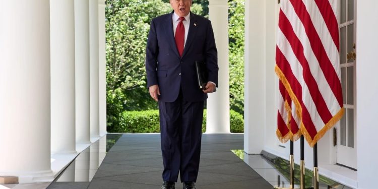 Trump confirma que Rusia y Ucrania aceptaron su petición de tregua e intercambio de prisioneros