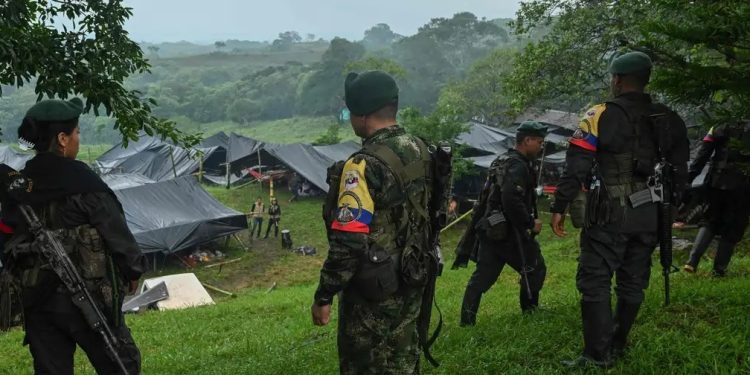 Colombia: enfrentamiento entre guerrillas deja 48 fallecidos