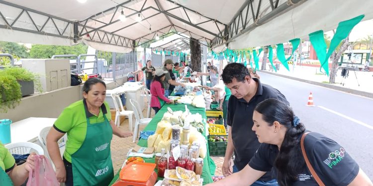 Ocho ferias de la Agricultura Familiar se realizarán esta semana en Asunción y otras ciudades