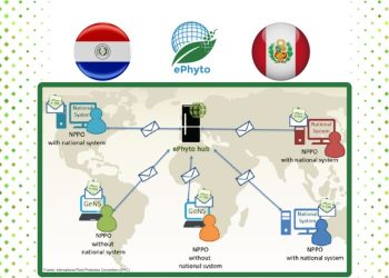 Comercio vegetal entre Paraguay y Perú se moderniza con sistema e-Phyto