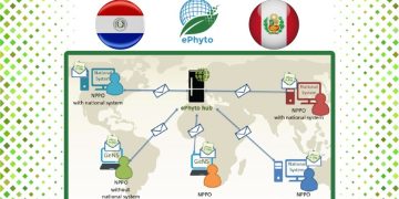 Comercio vegetal entre Paraguay y Perú se moderniza con sistema e-Phyto