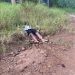 Hallan cadáver al costado de un camino vecinal