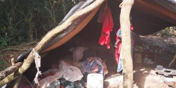 Hallan a un hombre sin vida en estancia de Yby Yaú con signos de violencia