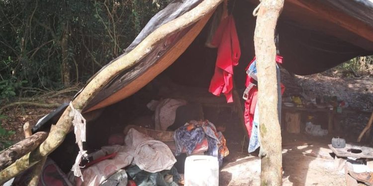 Hallan a un hombre sin vida en estancia de Yby Yaú con signos de violencia