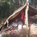 Hallan a un hombre sin vida en estancia de Yby Yaú con signos de violencia
