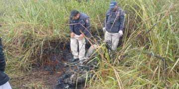 Identifican a hombre hallado calcinado en Pedro Juan Caballero
