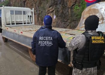 Incautan más de 700 kilos de marihuana en camión paraguayo en la frontera con Brasil