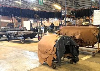 Sector ganadero rechaza acciones de oenegés que buscan desacreditar a la industria del cuero