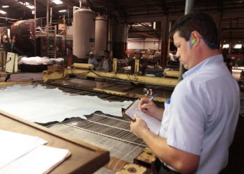 Denuncian una «cacería mediática» de las ONG en Europa contra la industria paraguaya del cuero