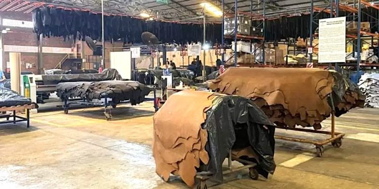 Sector ganadero rechaza acciones de oenegés que buscan desacreditar a la industria del cuero