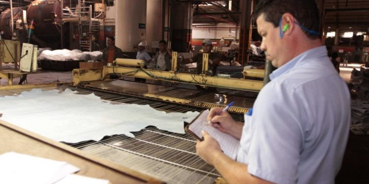 Denuncian una «cacería mediática» de las ONG en Europa contra la industria paraguaya del cuero