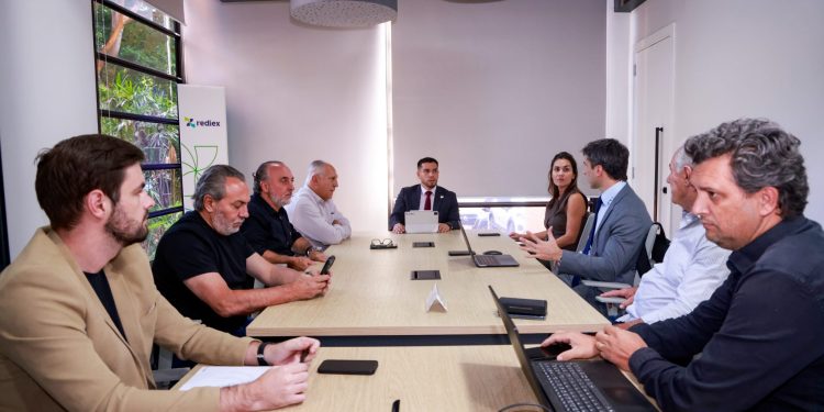 Industrial avícola se instalará en Yhú con inversión de USD 50 millones y generará 200 empleos