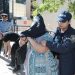 Unidad Anticorrupción allana oficinas judiciales en San Lorenzo tras entrega vigilada