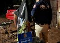 Paraguay activa operativo global y desmantela focos de explotación infantil