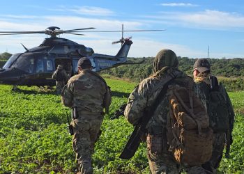Nueva Alianza: 16 operaciones binacionales dejaron más de USD 1.600 millones en pérdidas al narcotráfico