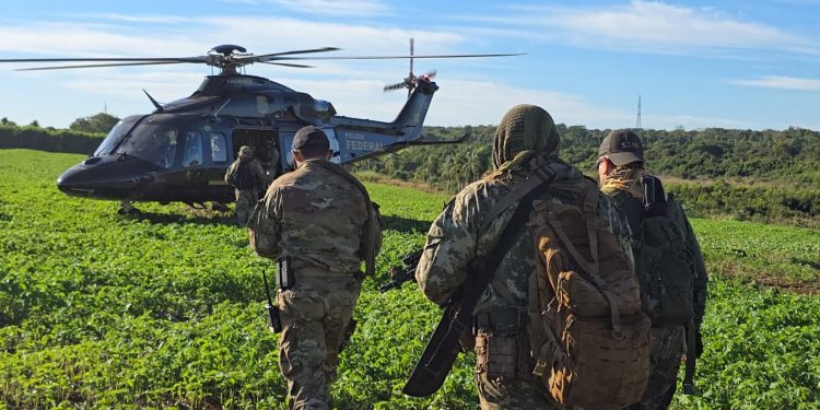 Nueva Alianza: 16 operaciones binacionales dejaron más de USD 1.600 millones en pérdidas al narcotráfico