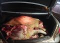 Aprehenden a presunto implicado en caso de abigeato e incautan más de 200 kilos de carne en Ypejhú