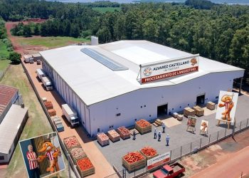 Paraguay procesará y exportará langostinos al mundo