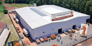 Paraguay procesará y exportará langostinos al mundo