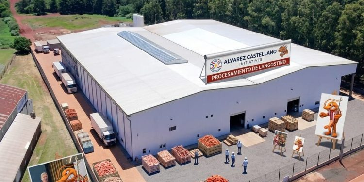 Paraguay procesará y exportará langostinos al mundo