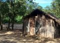 Abren investigación por presunto filicidio en Yby Yaú