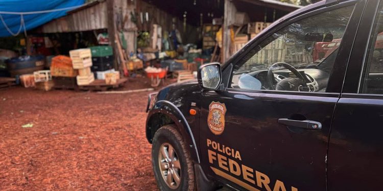 Rescatan a paraguayos y argentinos que eran esclavizados en Brasil