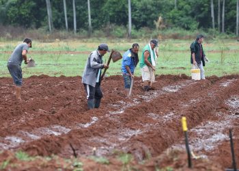 Empleo rural crece 3% en el primer trimestre y refuerza el dinamismo del campo