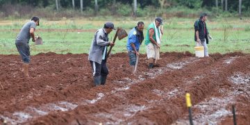 Empleo rural crece 3% en el primer trimestre y refuerza el dinamismo del campo