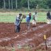 Empleo rural crece 3% en el primer trimestre y refuerza el dinamismo del campo