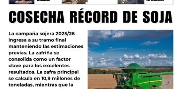 5 Mayo 2026