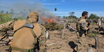 Operación antidrogas golpea al narcotráfico con pérdidas de USD 121 millones