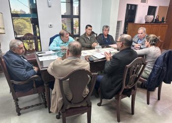 IPS proyecta implementar concursos de méritos para la selección de jefaturas